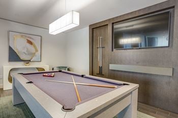 Amenities-clubroom with billiards table